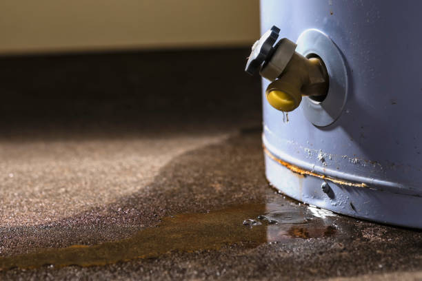Best Commercial water damage restoration  in Howard Lake, MN