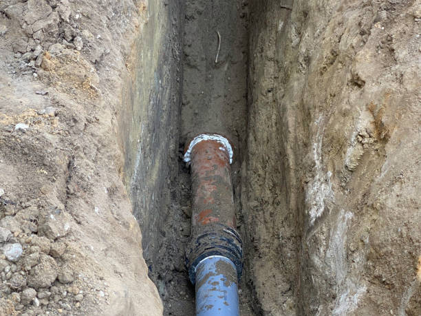 Best Flood damage cleanup  in Howard Lake, MN