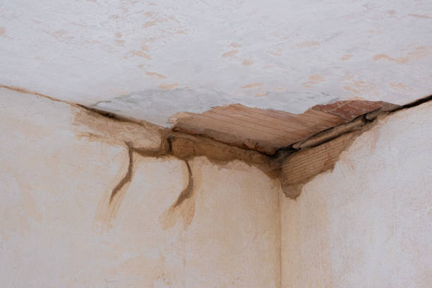 Best 24-hour water damage restoration  in Howard Lake, MN