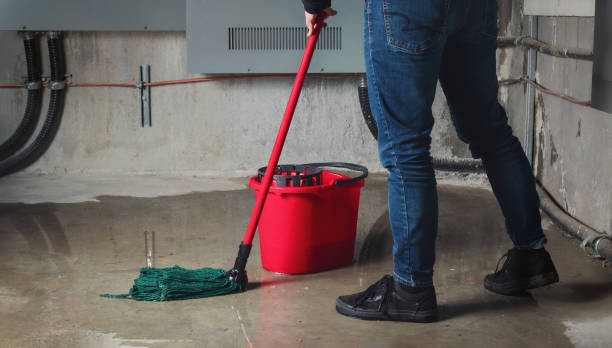 Best Flood restoration services  in Howard Lake, MN