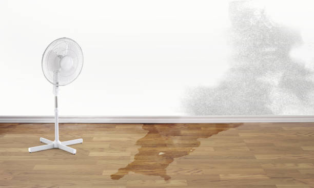 Howard Lake, MN Water damage restoration Company