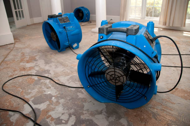 Best Sewage cleanup and water damage restoration  in Howard Lake, MN