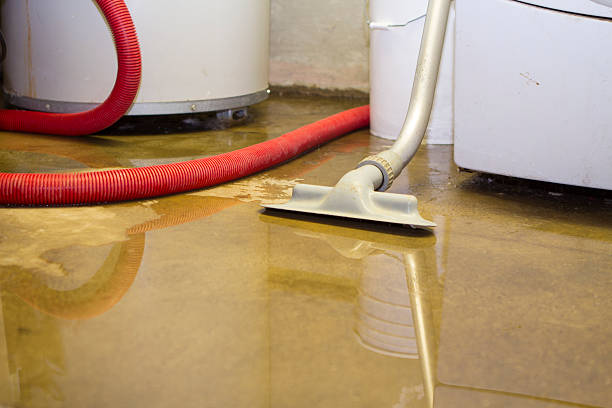 Best Emergency water extraction  in Howard Lake, MN