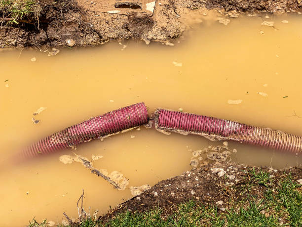 Best Water damage restoration near me  in Howard Lake, MN