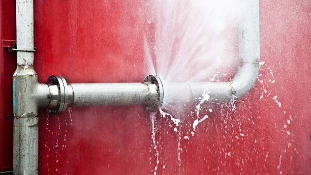 Best Professional water damage repair  in Howard Lake, MN