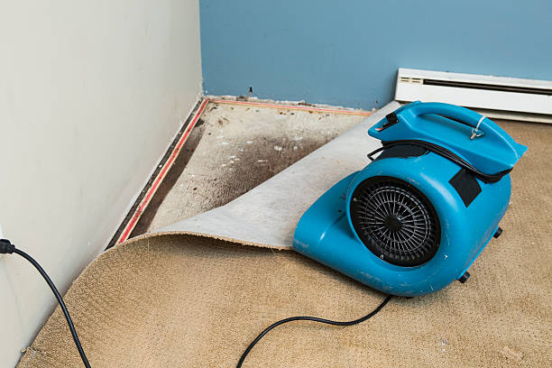 Best Fire Damage Restoration  in Howard Lake, MN